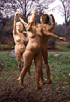 FairyRing-2